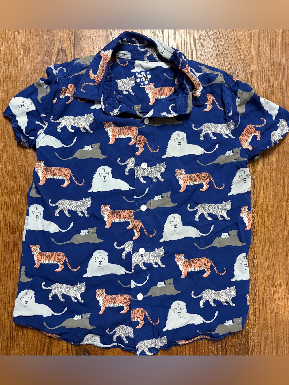 Kickee Pants Button Down Shirt